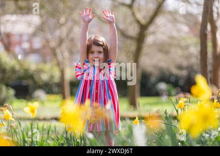 Dudley, West Midlands, Großbritannien. 30. März 2024. Die vierjährige Millie Willetts genießt etwas Frühlingssonne zwischen den Narzissen in ihrem Park in der Nähe von Dudley, West Midlands. Am Ostersonntag werden sonnige Zeiten prognostiziert, und es kann in nördlichen Teilen Großbritanniens Regen geben. Quelle: Peter Lopeman/Alamy Live News Stockfoto