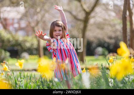 Dudley, West Midlands, Großbritannien. 30. März 2024. Die vierjährige Millie Willetts genießt etwas Frühlingssonne zwischen den Narzissen in ihrem Park in der Nähe von Dudley, West Midlands. Am Ostersonntag werden sonnige Zeiten prognostiziert, und es kann in nördlichen Teilen Großbritanniens Regen geben. Quelle: Peter Lopeman/Alamy Live News Stockfoto