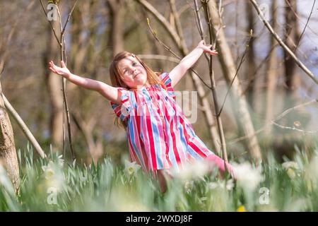 Dudley, West Midlands, Großbritannien. 30. März 2024. Die vierjährige Millie Willetts genießt etwas Frühlingssonne zwischen den Narzissen in ihrem Park in der Nähe von Dudley, West Midlands. Am Ostersonntag werden sonnige Zeiten prognostiziert, und es kann in nördlichen Teilen Großbritanniens Regen geben. Quelle: Peter Lopeman/Alamy Live News Stockfoto