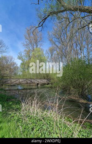 Urdenbacher Altrhein im Naturschutzgebiet Urdenbacher Kämpe an der Rheinaue, Düsseldorf Stockfoto