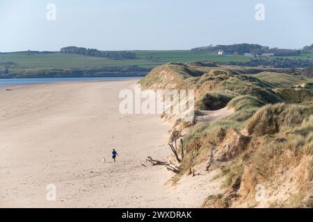 Ein Hundeschlitten am Traeth Penrhos Beach in der Nähe von Newborough, Anglesey, Nordwales. Stockfoto