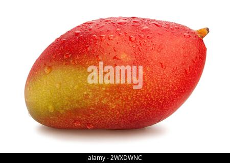 Mango Pfad isoliert auf weiß Stockfoto