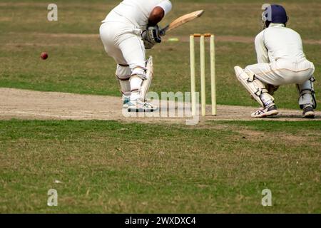 Cricket Schlagmann spielt Vorwärtsverteidigung Stockfoto