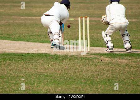 Cricket Schlagmann spielt Vorwärtsverteidigung Stockfoto