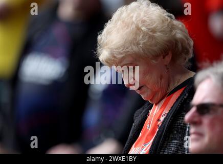Ein Fan von Luton Town in den Tribünen vor dem Spiel der Premier League im Tottenham Hotspur Stadium in London. Bilddatum: Samstag, 30. März 2024. Stockfoto