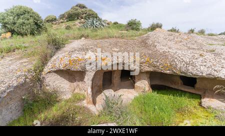 domus de Janas und Nekropole von santu pedru alte Nuragygräber in alghero im Norden sardiniens Stockfoto