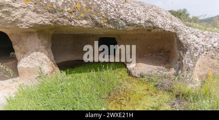 domus de Janas und Nekropole von santu pedru alte Nuragygräber in alghero im Norden sardiniens Stockfoto