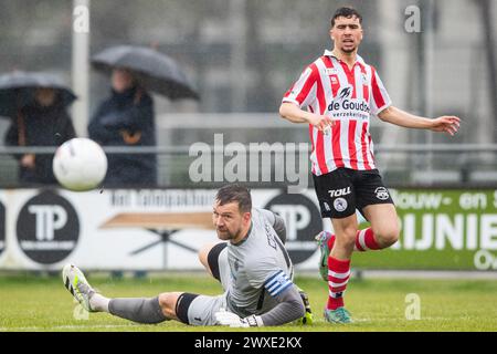 HAARLEM. 30-03-2024. Sportpark Spanjaardslaan. Betnation Divisie Dutch Tweede Divisie Football Saison 2023/2024. Jong Sparta Spieler Aymane Bais und Kon. HFC-Torhüter Mitchel Michaelis während des Spiels Kon. HFC - Jong Sparta Rotterdam. Beschreibung: Pro Shots/Alamy Live News Stockfoto