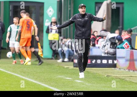 Bremen, Deutschland. 30. März 2024. Fußball: Bundesliga, Werder Bremen - VfL Wolfsburg, Spieltag 27, wohninvest Weserstadion. Bremer Trainer Ole Werner reagiert auf der Touchline. Hinweis: Axel Heimken/dpa – WICHTIGER HINWEIS: gemäß den Vorschriften der DFL Deutscher Fußball-Liga und des DFB Deutscher Fußball-Bundes ist es verboten, im Stadion und/oder des Spiels aufgenommene Fotografien in Form von sequenziellen Bildern und/oder videoähnlichen Fotoserien zu verwenden oder zu nutzen./dpa/Alamy Live News Stockfoto