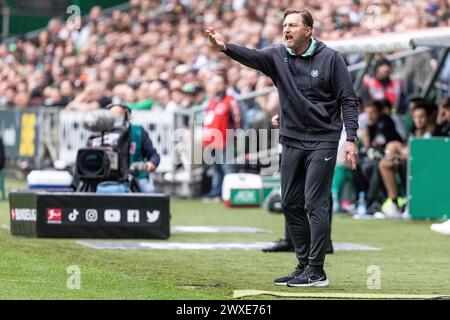 Bremen, Deutschland. 30. März 2024. Fußball: Bundesliga, Werder Bremen - VfL Wolfsburg, Spieltag 27, wohninvest Weserstadion. Wolfsburger Trainer Ralph Hasenhüttl gestikuliert auf der Touchline. Hinweis: Axel Heimken/dpa – WICHTIGER HINWEIS: gemäß den Vorschriften der DFL Deutscher Fußball-Liga und des DFB Deutscher Fußball-Bundes ist es verboten, im Stadion und/oder des Spiels aufgenommene Fotografien in Form von sequenziellen Bildern und/oder videoähnlichen Fotoserien zu verwenden oder zu nutzen./dpa/Alamy Live News Stockfoto