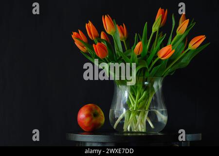 Strauß von orangen Tulpen in einer transparenten runden Vase und einem Apfel auf dunklem Hintergrund. Stockfoto