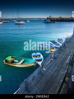 Die farbenfrohen Ruderboote sind an einem rustikalen Holzdock in einer ruhigen maritimen Umgebung befestigt Stockfoto