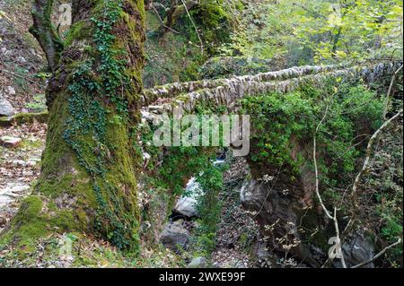 Blick auf eine traditionelle Steinbrücke in den Agrafa Bergen in der Nähe des Dorfes Chryso in Zentralgriechenland Stockfoto
