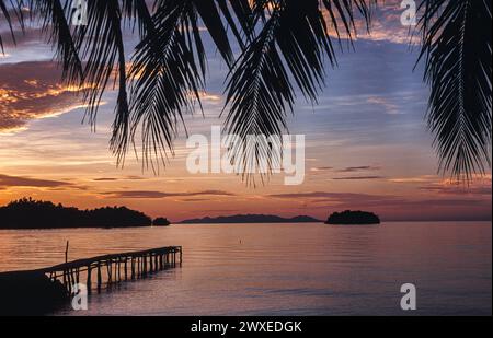 24.04.2009, Togianinseln, Sulawesi, Indonesien, Asien - Malerischer Sonnenuntergang ueber einem paradiesischen Palmenstrand einer tropischen Insel im Golf von Tomini mit Blick aufs ruhige Meer, gesehen von einer Togian-Insel in Zentral-Sulawesi. Die Togianinseln sind ein Paradies für Taucher und Schnorchler. *** 24 04 2009, Togianische Inseln, Sulawesi, Indonesien, Asien malerischer Sonnenuntergang über einem paradiesischen Palmenstrand einer tropischen Insel im Golf von Tomini mit Blick auf das ruhige Meer, von einer togischen Insel im Zentrum von Sulawesi aus gesehen, sind die Togianischen Inseln ein Paradies für Taucher Stockfoto