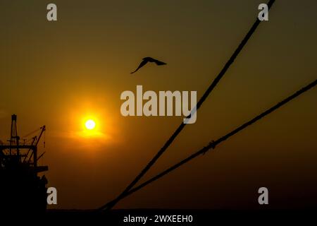 Indonesische Produktivitätsaktivitäten werden am 28. März 2024 im Hafen von Belawan, Medan, Nord-Sumatra, Indonesien, in Silhouette gesehen. Farid Chairmawan, Vice President of Corporate Communications von PT Pelindo Multi Terminal Belawan, sagte, PT Pelindo Multi Terminal (SPMT), eine Unterholding von PT Pelabuhan Indonesia (Persero) oder Pelindo tätige im Hafensegment im Bereich des Betriebs von nicht-Container-Terminals in Indonesien. Um den Dienstleistungsnutzern erstklassige Dienstleistungen zu bieten, setzt sich die SPMT Group weiterhin für die Umgestaltung der 25 Terminals in den Häfen ein, die sie in ganz Indonesien verwaltet Stockfoto