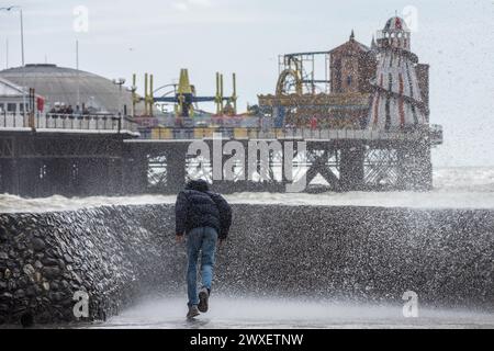 Brighton, 29. März 2024: Besucher an der Küste, wenn Wellen bei Flut gegen die Küste krachen Stockfoto