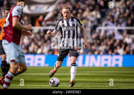 Newcastle upon Tyne, Großbritannien. 30. März 2024. Newcastle, England, 30. März 2024: Sean Longstaff aus Newcastle United im Rahmen des Premier League-Fußballspiels zwischen Newcastle United und West Ham United im St. James Park in Newcastle, England (Richard Callis/SPP) Credit: SPP Sport Press Photo. /Alamy Live News Stockfoto