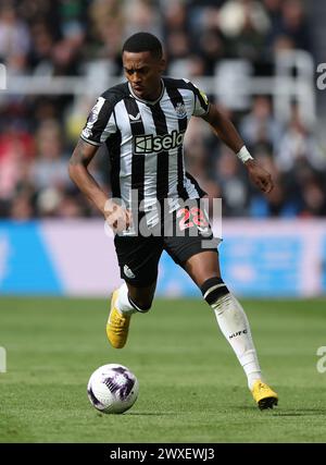 Newcastle upon Tyne, Großbritannien. 30. März 2024. Joe Willock von Newcastle United während des Premier League-Spiels in St. James' Park, Newcastle Upon Tyne. Der Bildnachweis sollte lauten: Nigel Roddis/Sportimage Credit: Sportimage Ltd/Alamy Live News Stockfoto