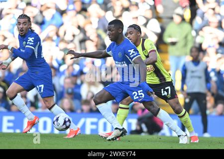 London, Großbritannien. 30. März 2024. Moises Caicedo (25 Chelsea) tritt am Samstag, den 30. März 2024, beim Premier League-Spiel zwischen Chelsea und Burnley in Stamford Bridge in London an. (Foto: Kevin Hodgson | MI News) Credit: MI News & Sport /Alamy Live News Stockfoto