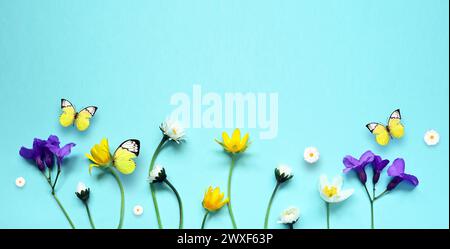 Set mit schönen Wiesenblumen und Schmetterling auf blauem Hintergrund. Stockfoto