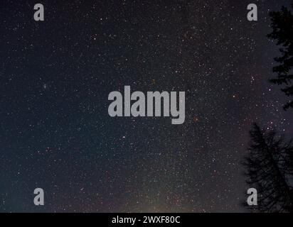 night sky with tree on the side Stockfoto