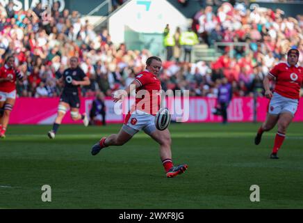 Bristol, Großbritannien. 30. März 2024. Bristol, England, 30. März 2024: Alex Callender (7 Wales) in Aktion während des Women's Six Nations Fixturniers zwischen England und Wales im Ashton Gate Stadium in Bristol, England (will Hope/SPP) Credit: SPP Sport Press Photo. /Alamy Live News Stockfoto