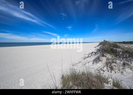 „Natur's Canvas: St.. Andrews State Park offenbart seine unberührte Schönheit mit smaragdblauem Wasser, das unter einem klaren blauen Himmel auf weißen Sand trifft Stockfoto