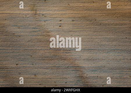 Ein braun-weiß gestreifter Hintergrund mit ein paar schwarzen Linien. Der Hintergrund besteht aus Holz und hat eine raue Textur Stockfoto