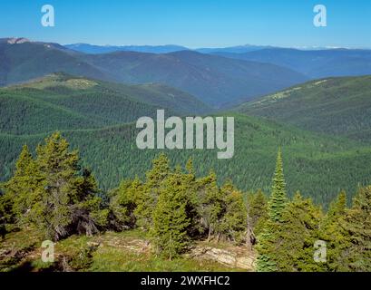 Percell Mountains oberhalb des siebzehn Kilometer langen Bachtals vom flatiron Ridge bei yaak, montana Stockfoto