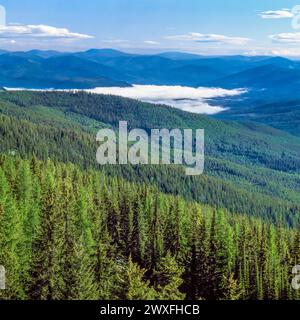 Percell Berge oberhalb des Morgennebels im südlichen Fork yaak River Valley im kootenai National Forest aus Sicht des flatiron Ridge nahe yaak, montana Stockfoto