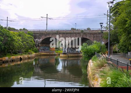 Das historische Eisenbahnviadukt Glebe und Wentworth mit Graffiti über Johnston's Creek in Glebe, Sydney, NSW, Australien Stockfoto