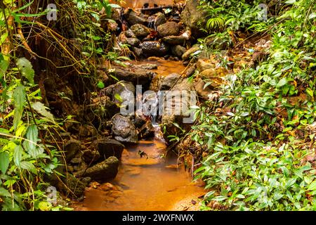 Wunderschöner Wasserfall auf dem Doi Suthep Wanderweg Wat Pha Lat im tropischen Dschungel Naturwald in Chiang Mai Amphoe Mueang Chiang Mai Thailand in Southea Stockfoto