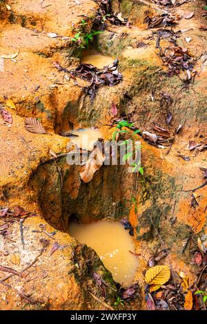 Wunderschöner Wasserfall auf dem Doi Suthep Wanderweg Wat Pha Lat im tropischen Dschungel Naturwald in Chiang Mai Amphoe Mueang Chiang Mai Thailand in Southea Stockfoto