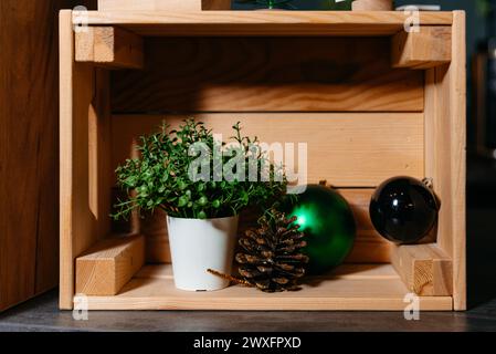 Eine grüne Topfpflanze, begleitet von einer glänzenden grünen und schwarzen Weihnachtskugeln und einem glitzernden Kiefernkegel, ausgestellt in einer rustikalen Holzkiste. Stockfoto