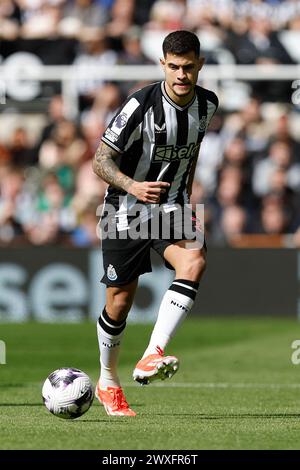 Newcastle, Großbritannien. 30. März 2024. Tino Livramento von Newcastle United während des Premier League-Spiels zwischen Newcastle United und West Ham United in St. James's Park, Newcastle am Samstag, den 30. März 2024. (Foto: Mark Fletcher | MI News) Credit: MI News & Sport /Alamy Live News Stockfoto