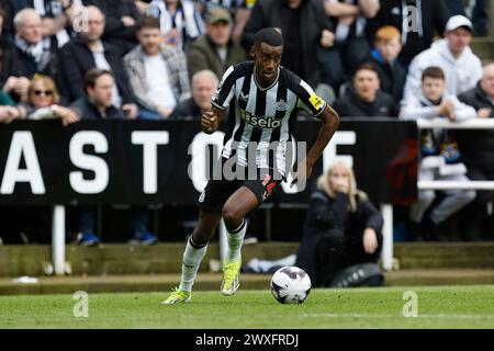 Newcastle, Großbritannien. 30. März 2024. Alexander Isak von Newcastle United während des Premier League-Spiels zwischen Newcastle United und West Ham United in St. James's Park, Newcastle am Samstag, den 30. März 2024. (Foto: Mark Fletcher | MI News) Credit: MI News & Sport /Alamy Live News Stockfoto