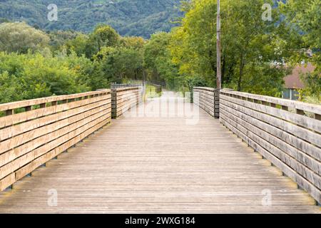 Kleine Fußgängerbrücke durch den Fluss im Park Stockfoto