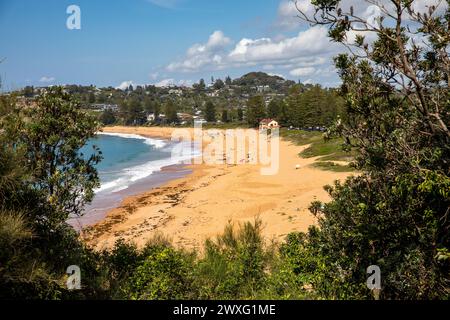 Blick auf Newport Beach in Sydney durch die Vegetation auf der Landzunge Bilgola South und den zweihundertjährigen Küstenweg, NSW, Australien Stockfoto