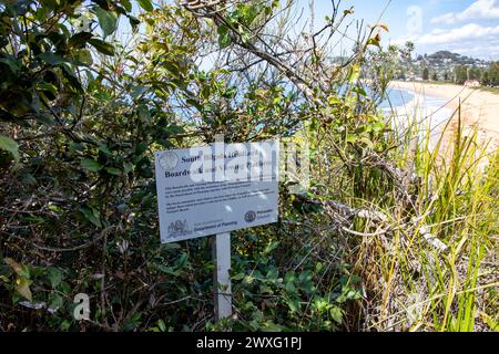 Aussichtspunkt auf Bilgola South Headland, Sydney, NSW, Australien Stockfoto