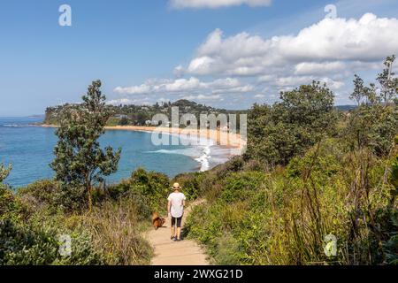 Bilgola South Headland, Model freigelassene Frau Hund geht, Blick in Richtung Newport Beach an Sydney Northern Beaches, NSW, Australien, 2024 Stockfoto