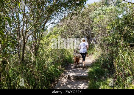 Sydney Northern Beaches Region, Model Release Frau, die Hund auf dem zweihundertjährigen Küstenpfad auf Bilgola South Headland, NSW, Australien Stockfoto