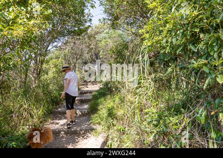 Sydney Northern Beaches Region, Model Release Frau, die Hund auf dem zweihundertjährigen Küstenpfad auf Bilgola South Headland, NSW, Australien Stockfoto