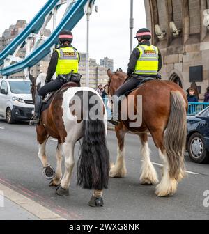 London, UK - 21. März 2024 : London Metropolitan Police Officers on Horses on Tower Bridge. Stockfoto