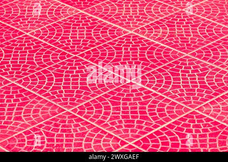 Rot rosa Pflasterplatten Boden abstrakte Muster Stadt Straße Oberfläche Stein Textur Hintergrund Fliese Mosaik Pflasterfarbe. Stockfoto