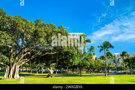 Banyan Trees im Fort DeRussy Beach Park in Honolulu - Oahu Island, Hawaii Stockfoto