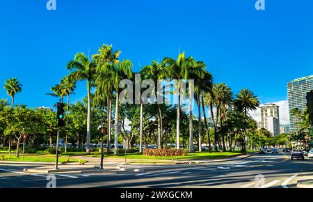 Palmen im Fort DeRussy Beach Park in Honolulu - Oahu Island, Hawaii Stockfoto