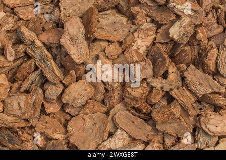 Kleine dekorative Stücke trockene Baumrinde braun natürliche Hintergrund Textur Natur. Stockfoto