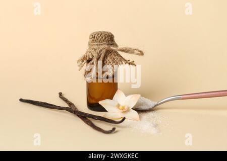 Flasche Vanilleextrakt, Zucker und Stifte auf farbigem Hintergrund Stockfoto