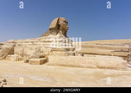 Die Sphinx im Pyramidenkomplex von Gizeh, Kairo, Ägypten Stockfoto