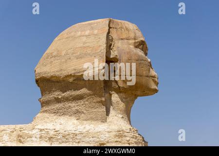 Die Sphinx im Pyramidenkomplex von Gizeh, Kairo, Ägypten Stockfoto
